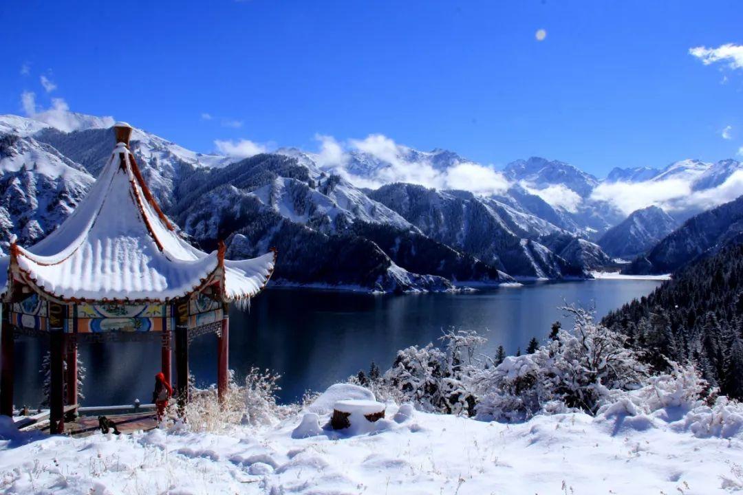 逗小猴开心系列167